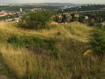 grafika